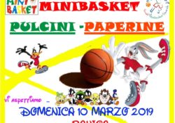 2019-03-10-festa-prov-minibasket-pulcini
